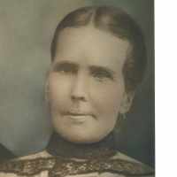 Susan Ann Stoker (1844 - 1920) Profile